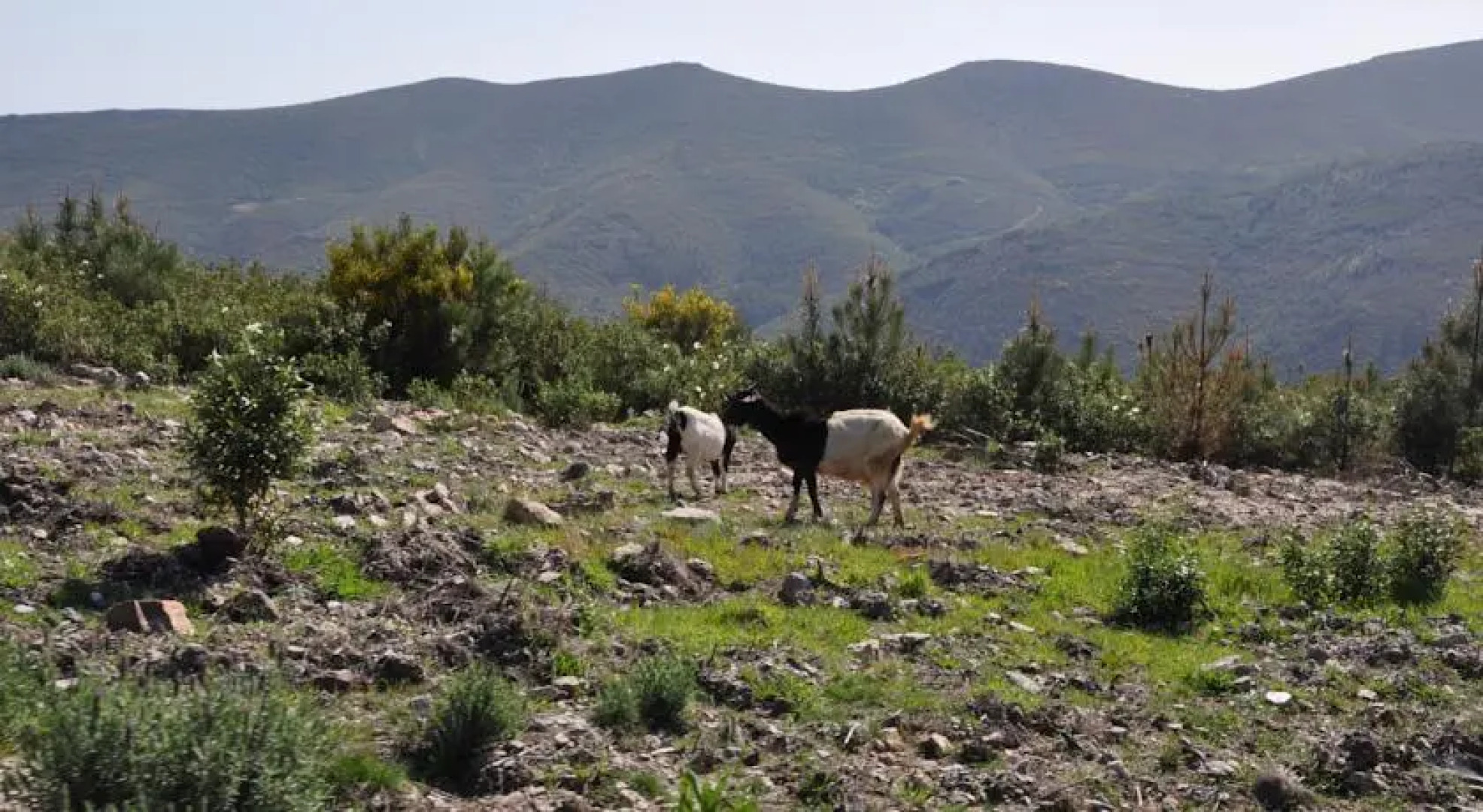 Refugio De La Rabaza