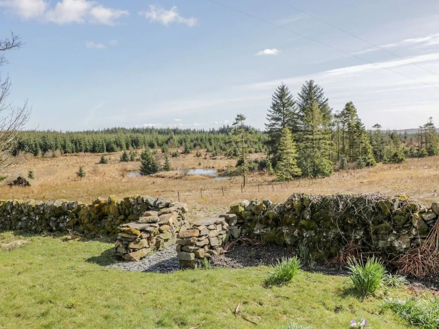 Corrafeckloch Forest Cottages