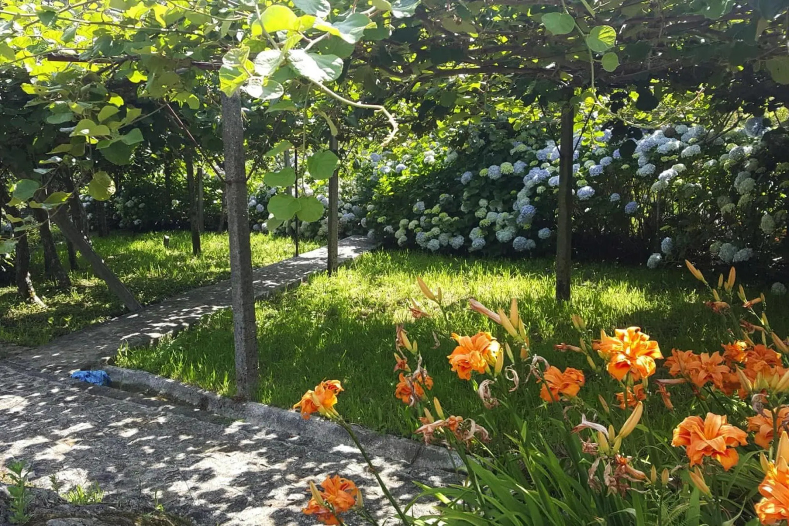 holiday home, Vale de Cambra