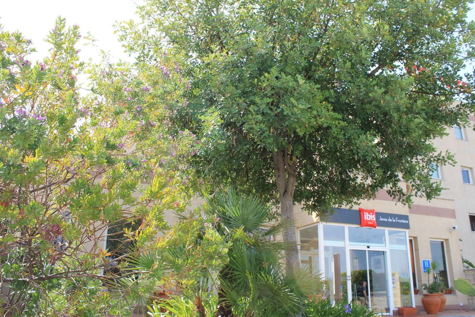 ibis Jerez de La Frontera