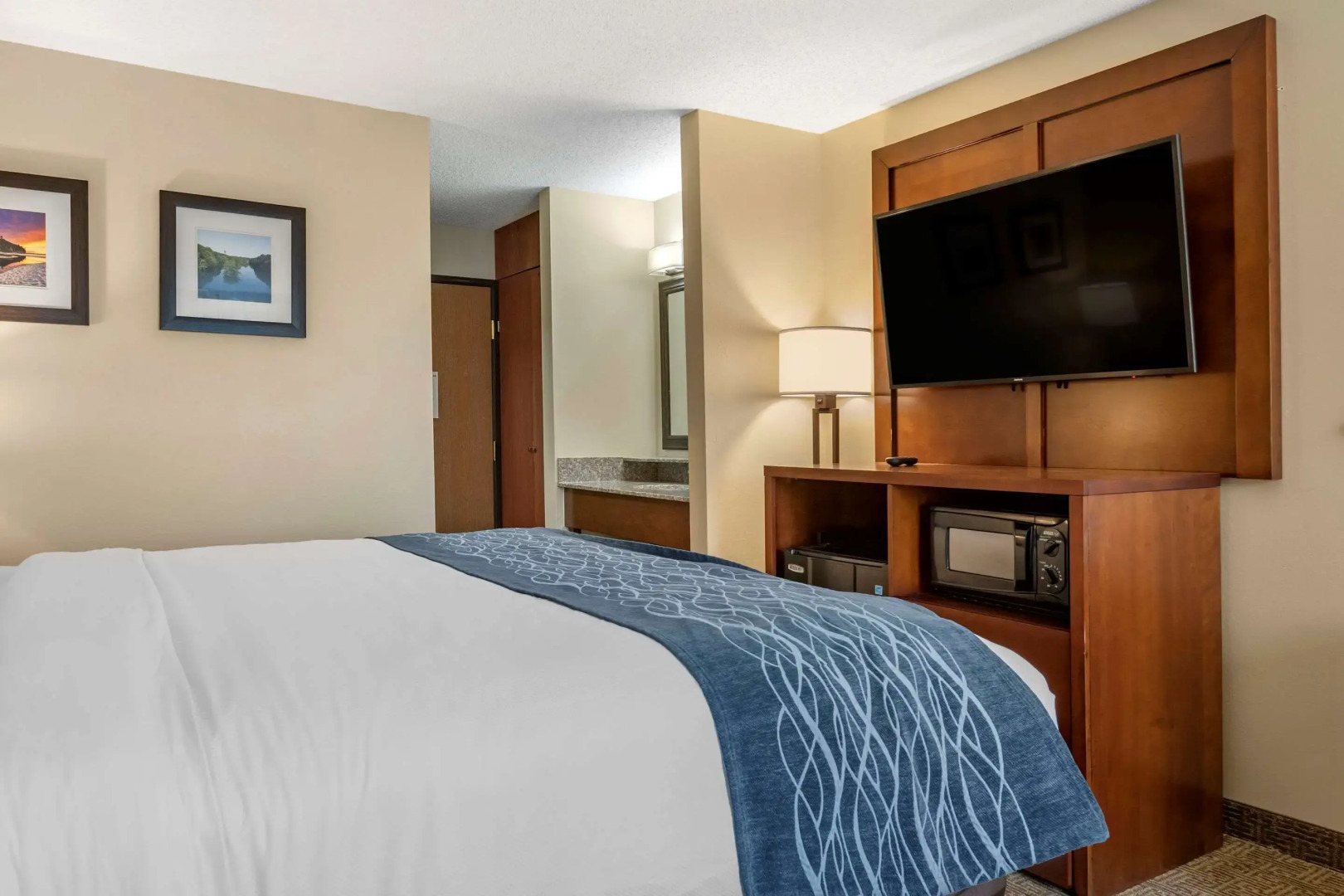 Comfort Inn & Suites Diamondale – Lansing