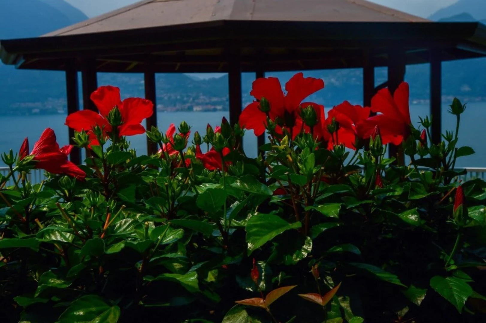 Villa Perledina by Wonderful Italy