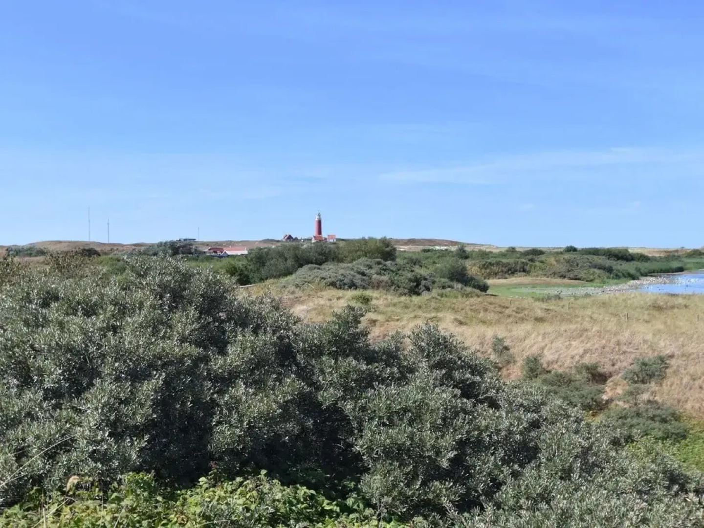 Peaceful Villa in De Koog near Sea