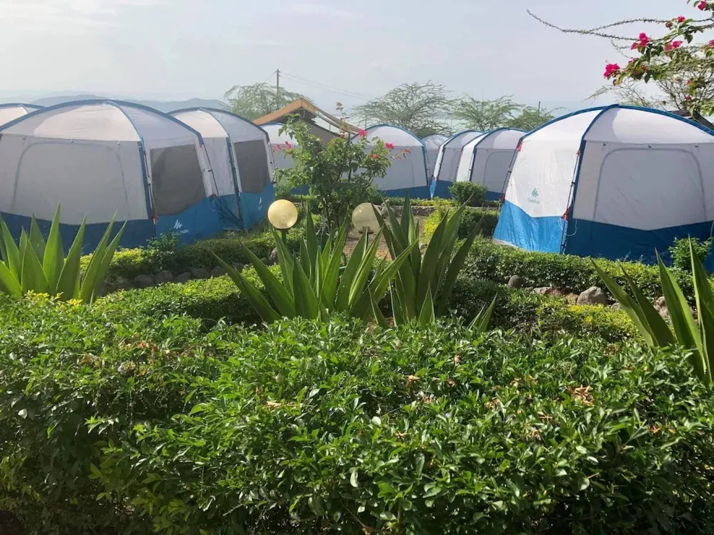 Royal Doves Garden Lake Baringo