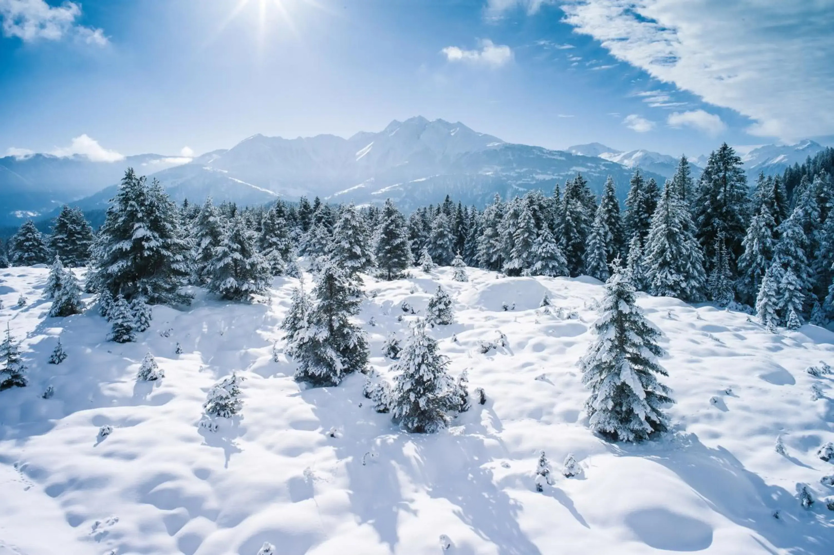 Soldanella by Hotel Adula