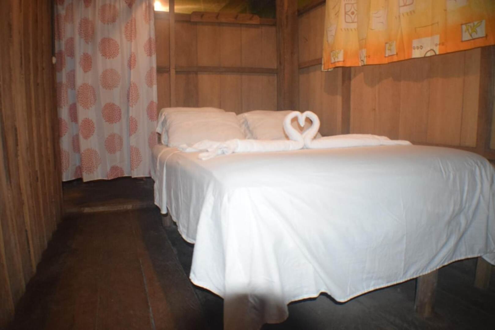 Jungle Wolf Expeditions