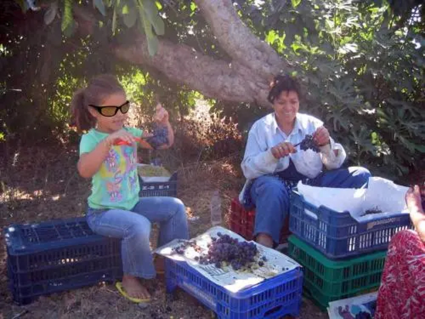 Carpe Diem Villas and Houses