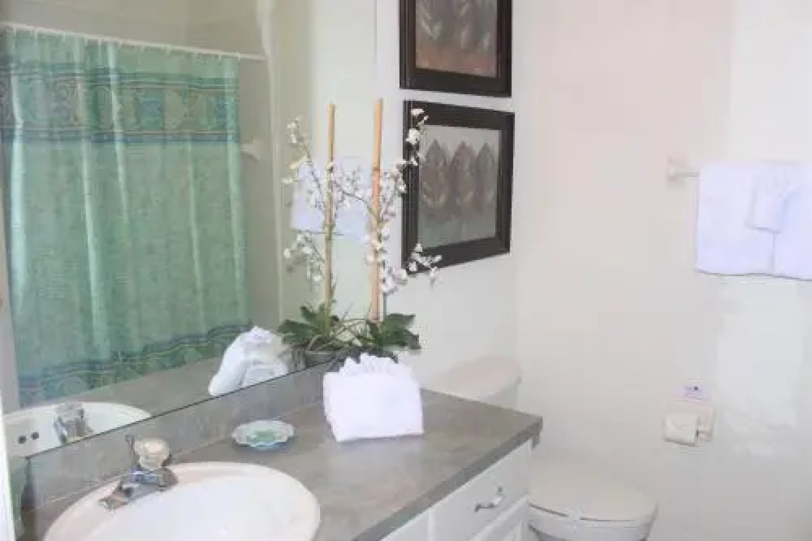 Balmoral Villa TA708