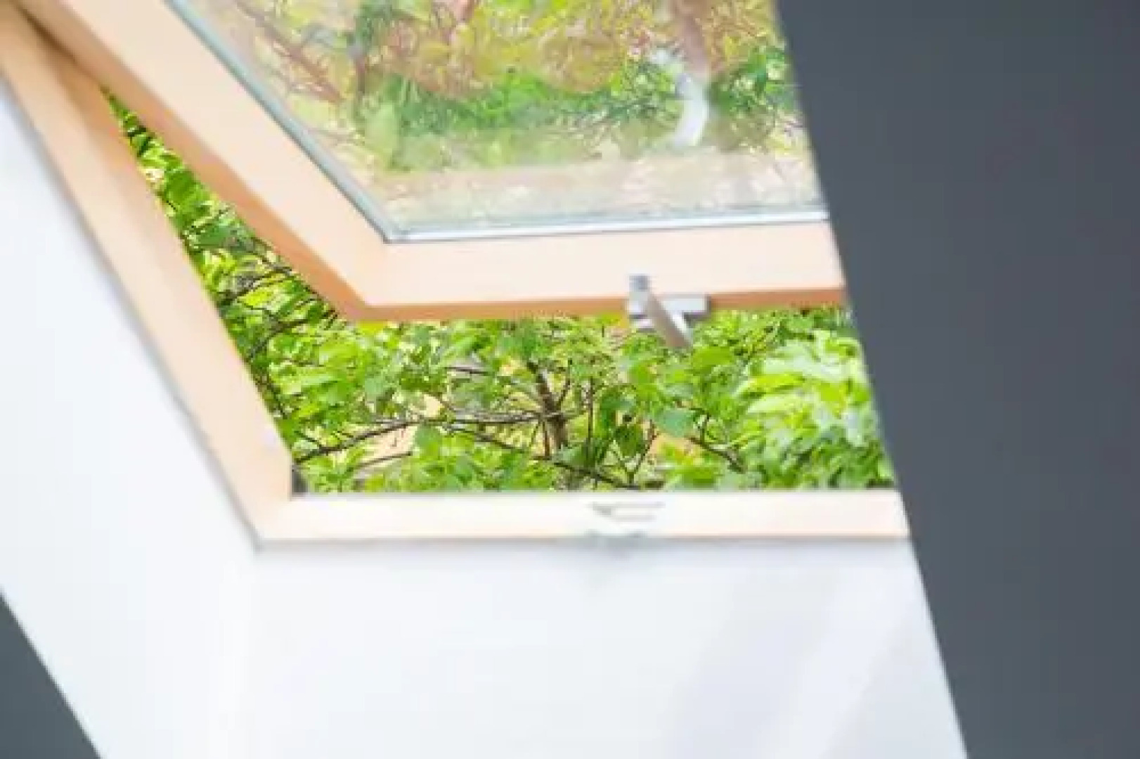 Cosbuc Residence & Villa