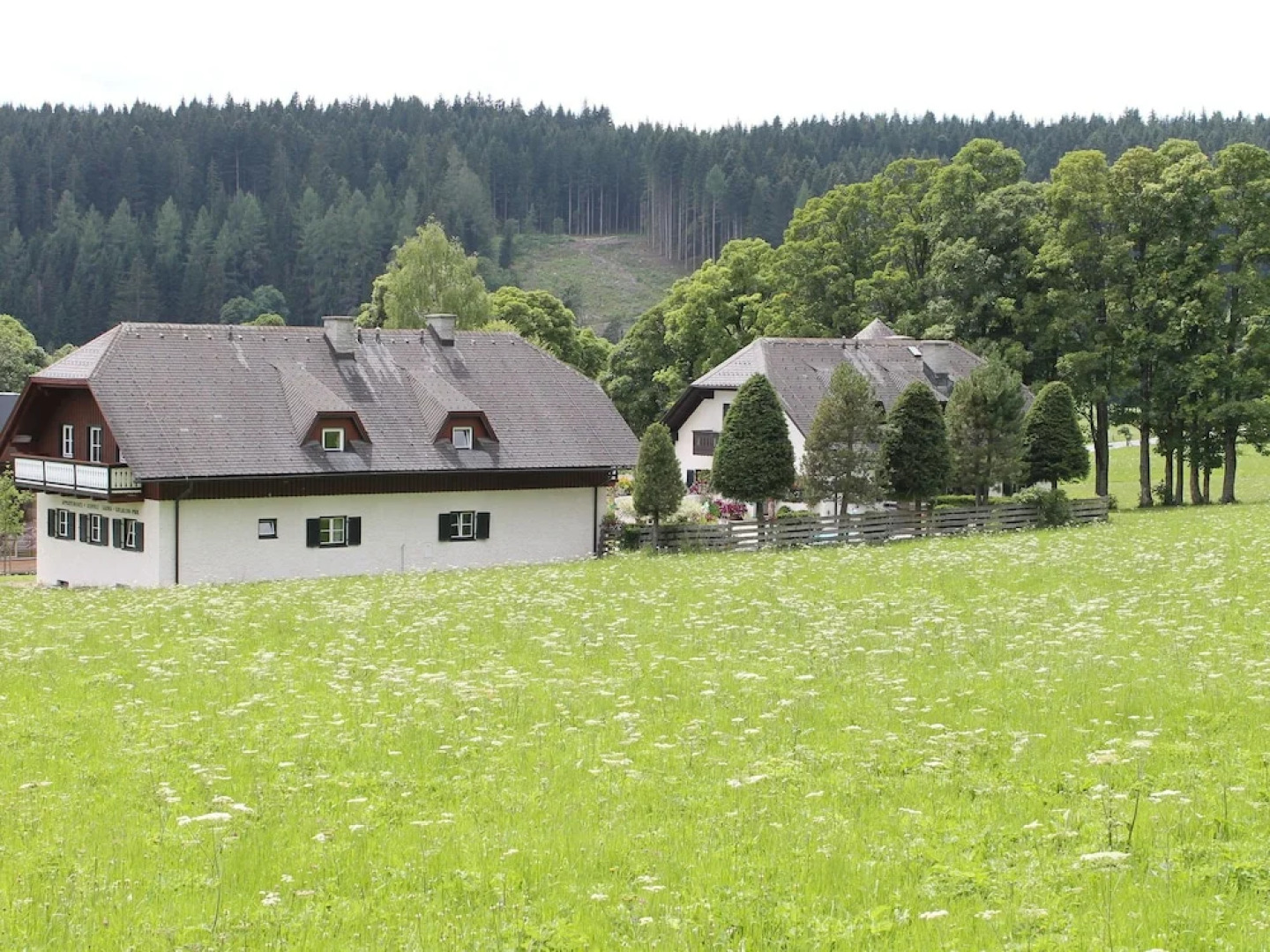 Warm Apartment in Ramsau am Dachstein With Garden