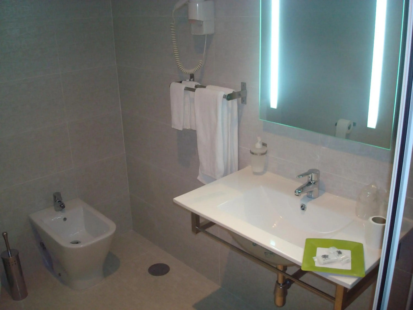 Palace Hotel & Spa Termas de S. Tiago
