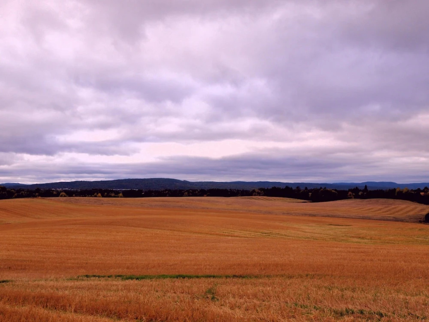 Bedder at Oslo Airport
