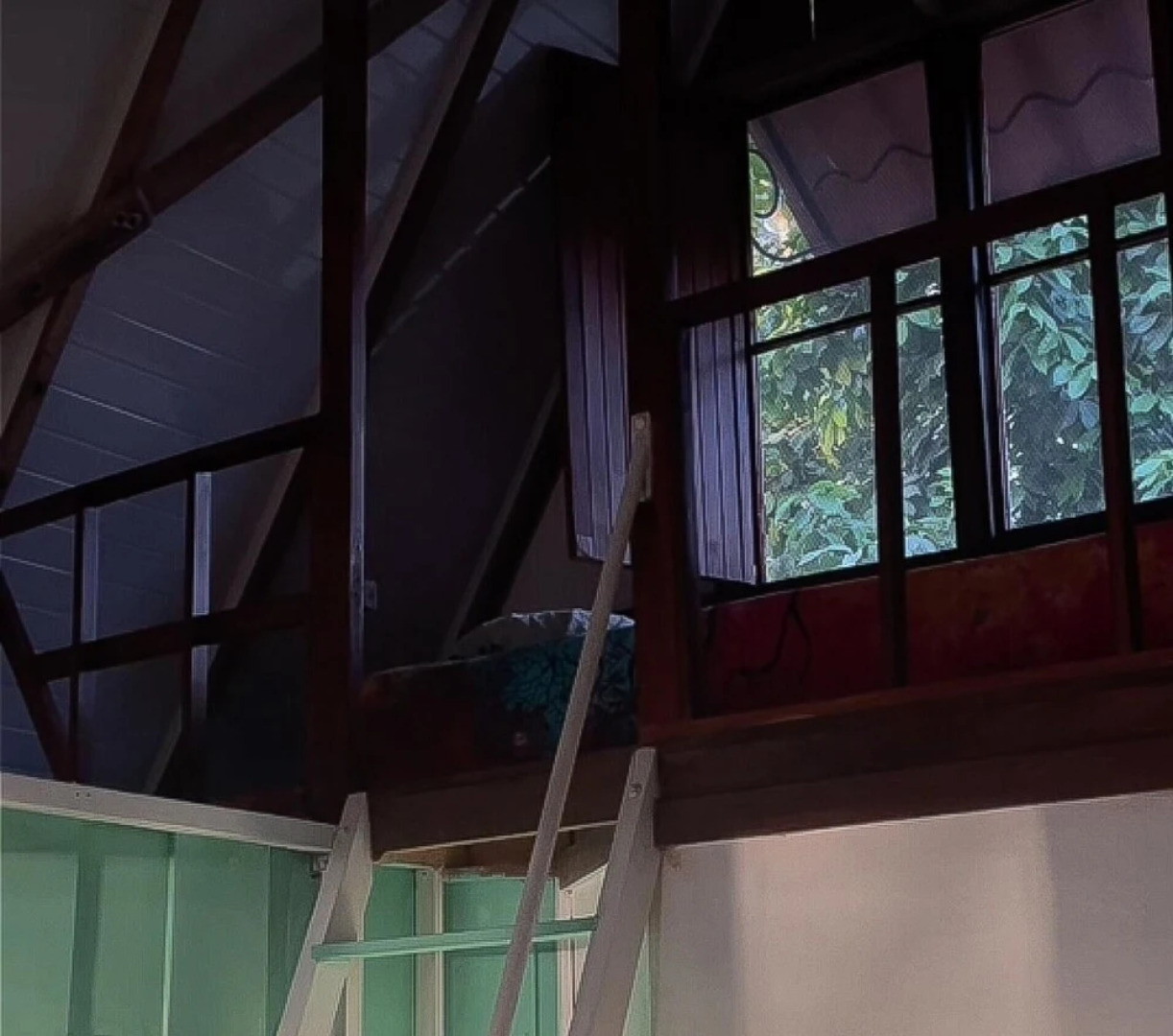 Surrounded By Trees In Front Of The Sea