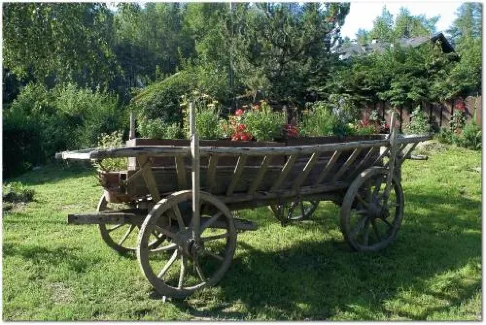 Hotel Thuinerwaldele