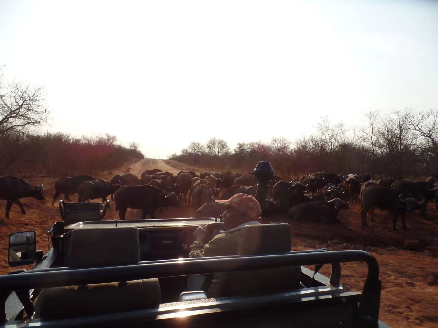 IsiLimela Game Lodge