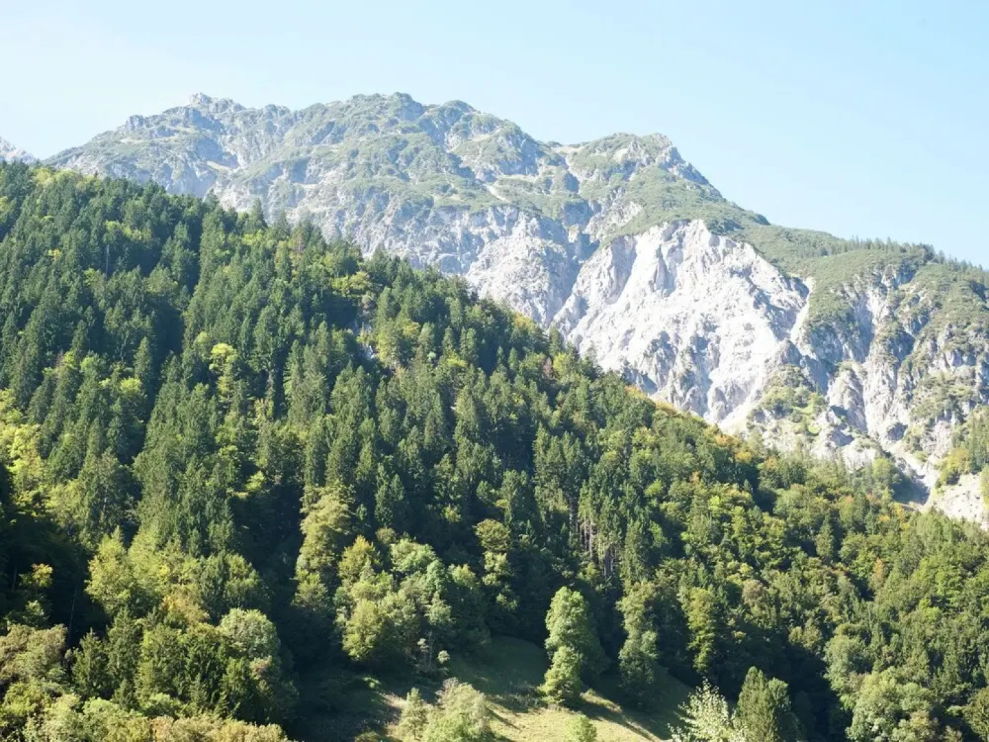 Plush Apartment in Vandans with Garden near Public Transport