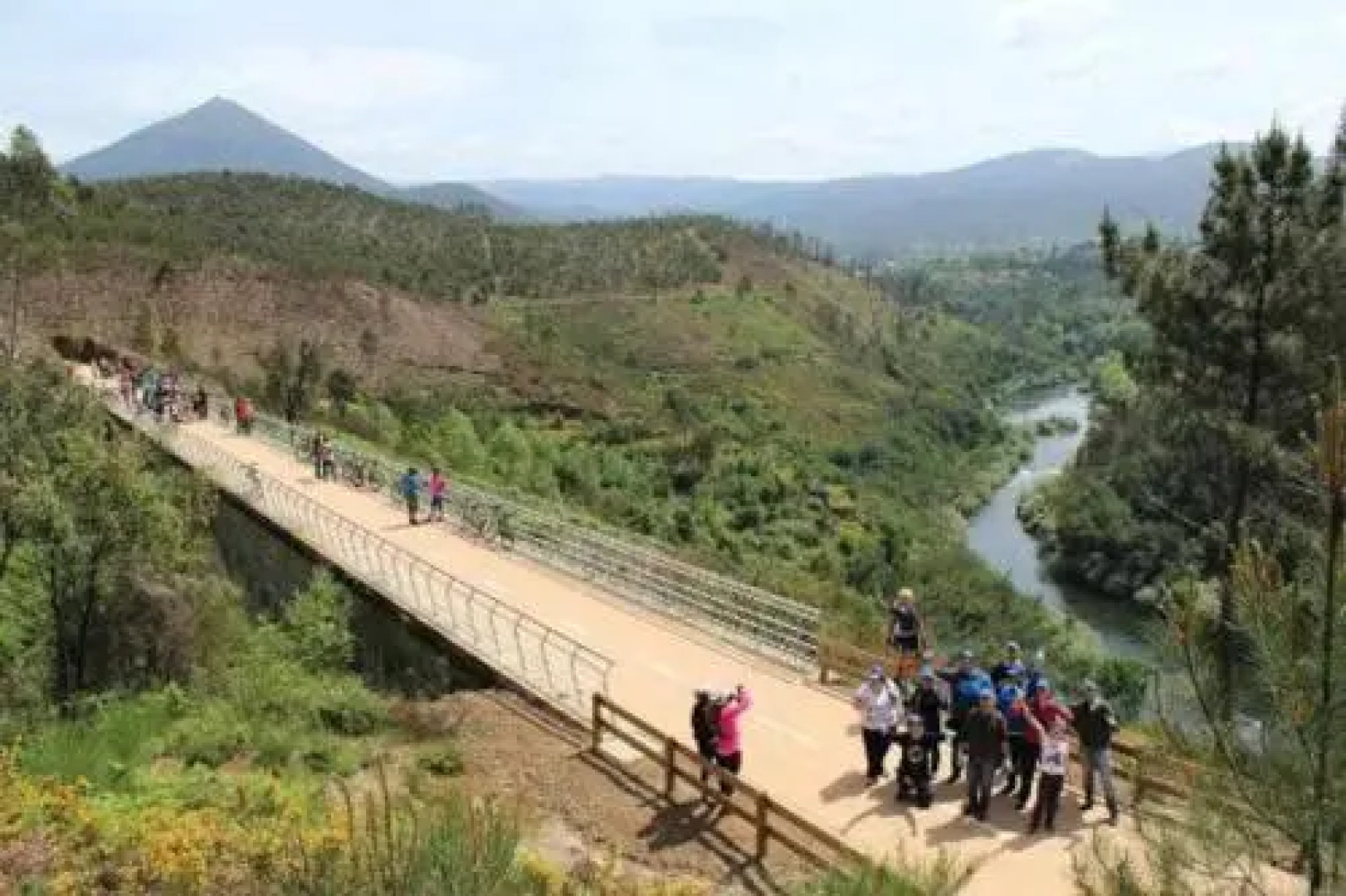Camélias de Basto - Turismo Rural