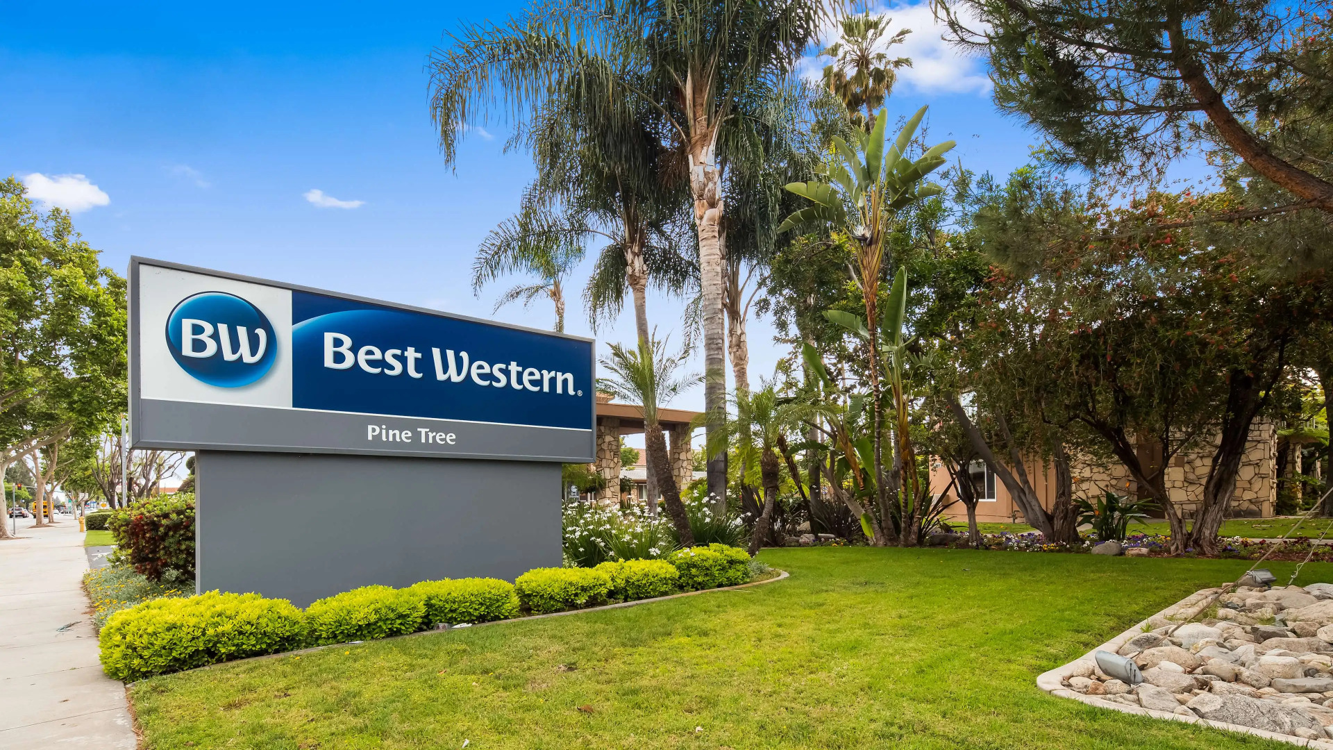 Best Western Pine Tree Motel