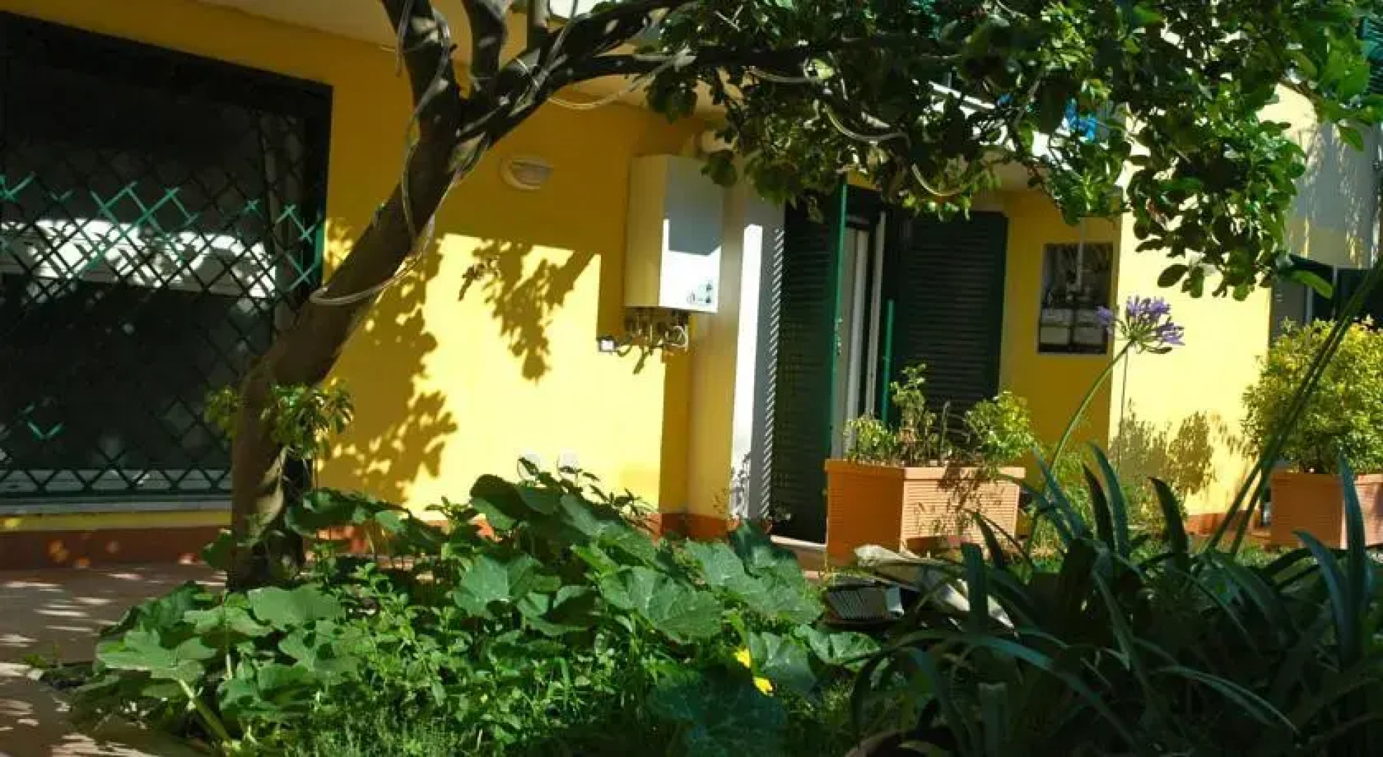 Sofias Home with Garden