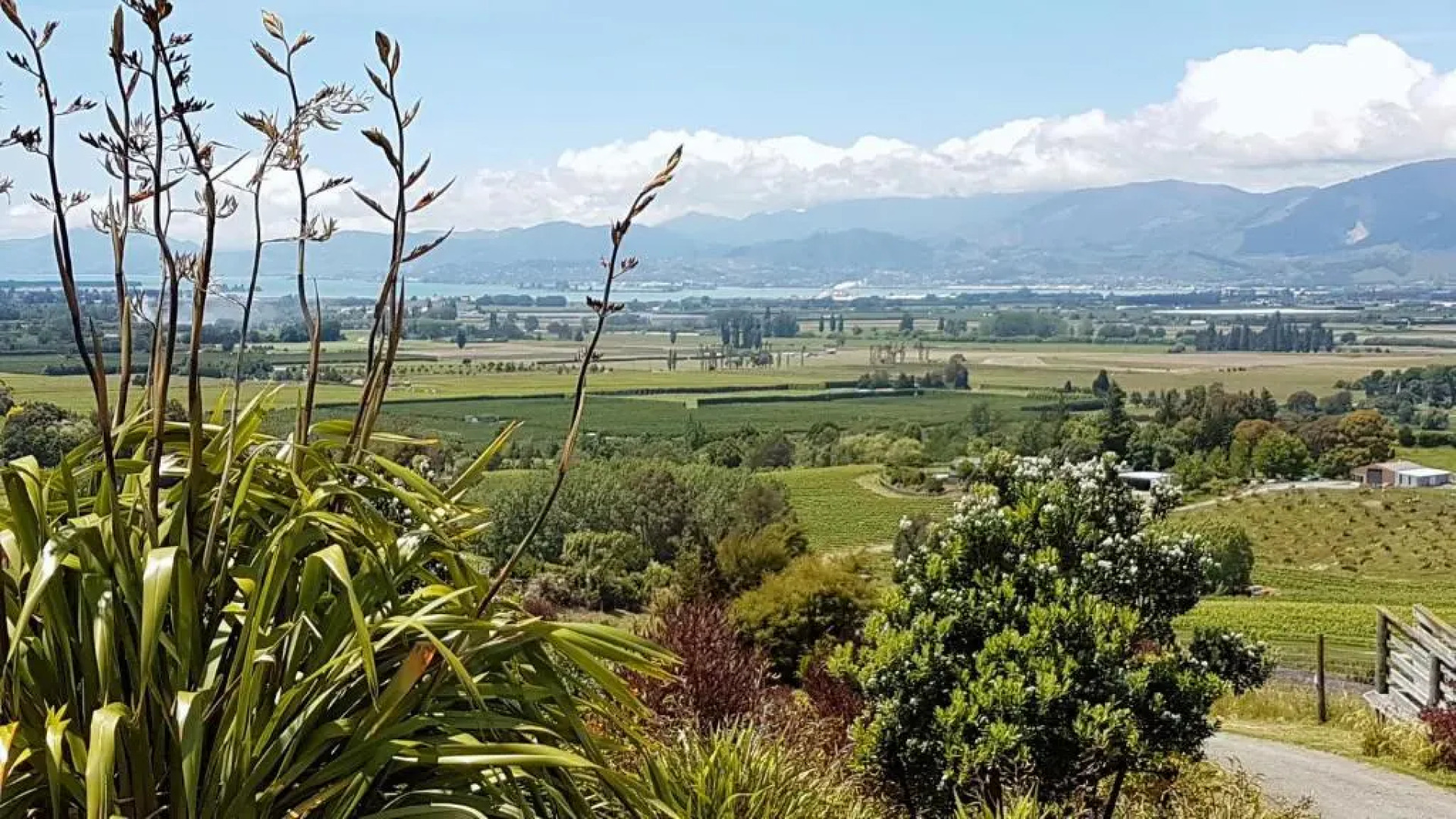 Golden Hills Farm Cottage