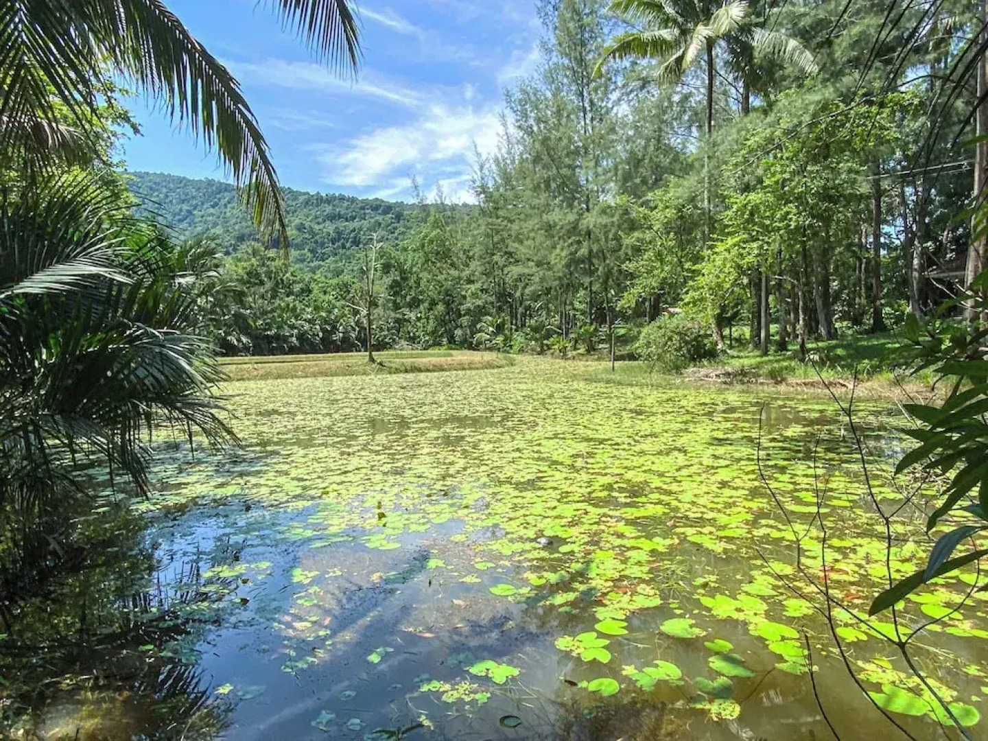 Ranong Resort and Laguna