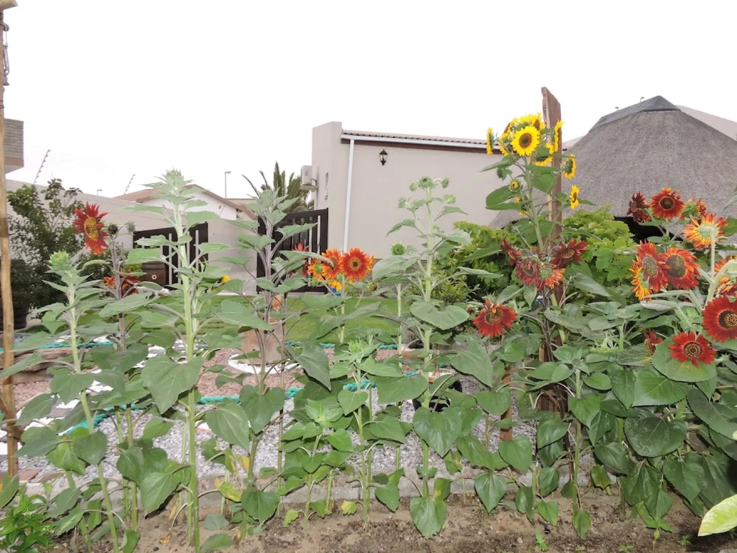 Exousia Bed and Breakfast