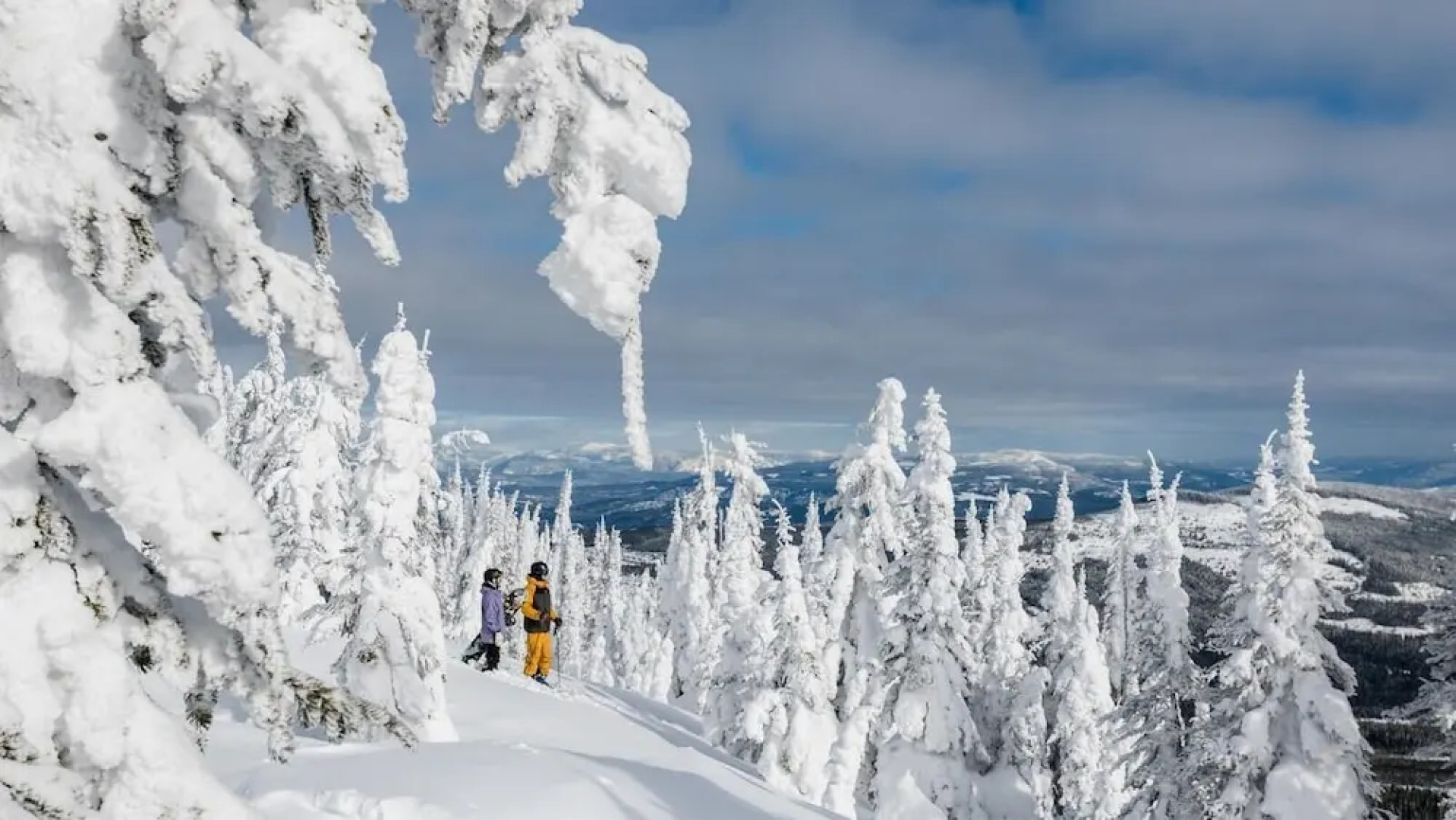 Woodhaven #32 By Bear Country