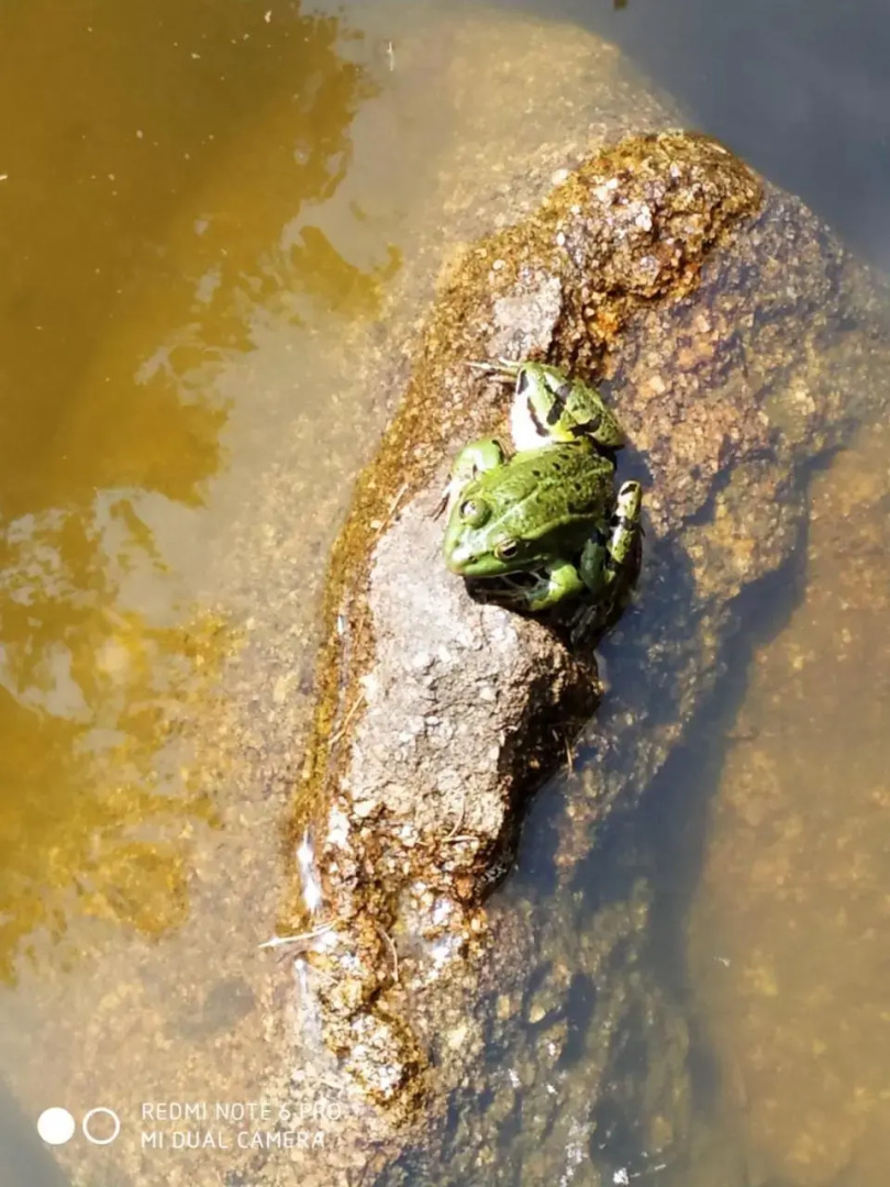 Re(S)Source (Adults Only)