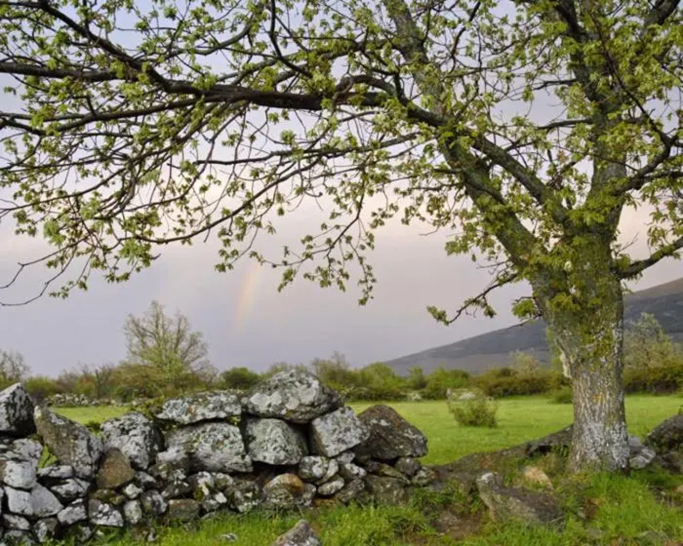 Casa Rural Sierra de Prádena