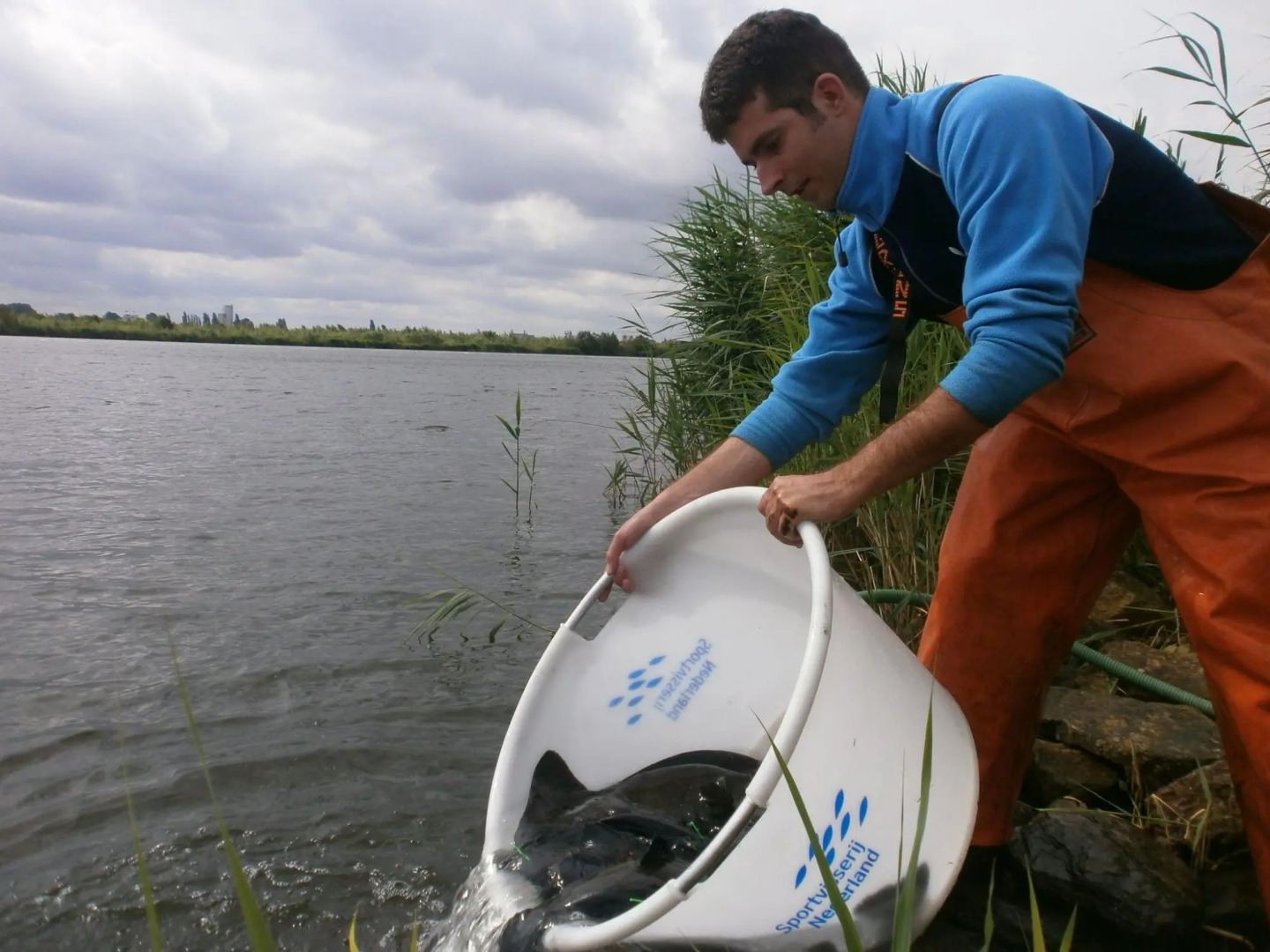 Modern chalet with beautiful garden, located in a holiday park by the forest