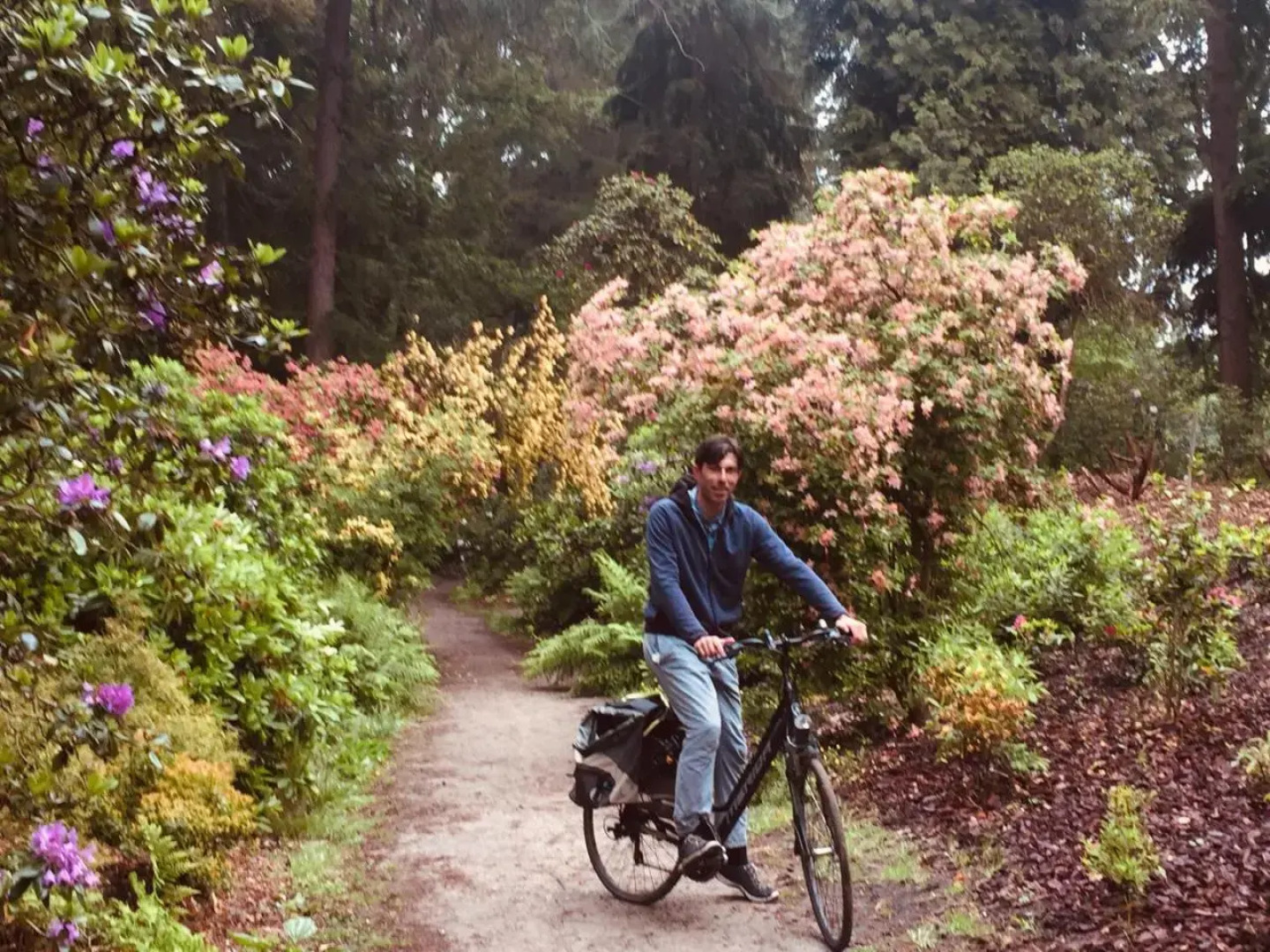 Art Bed and Breakfast