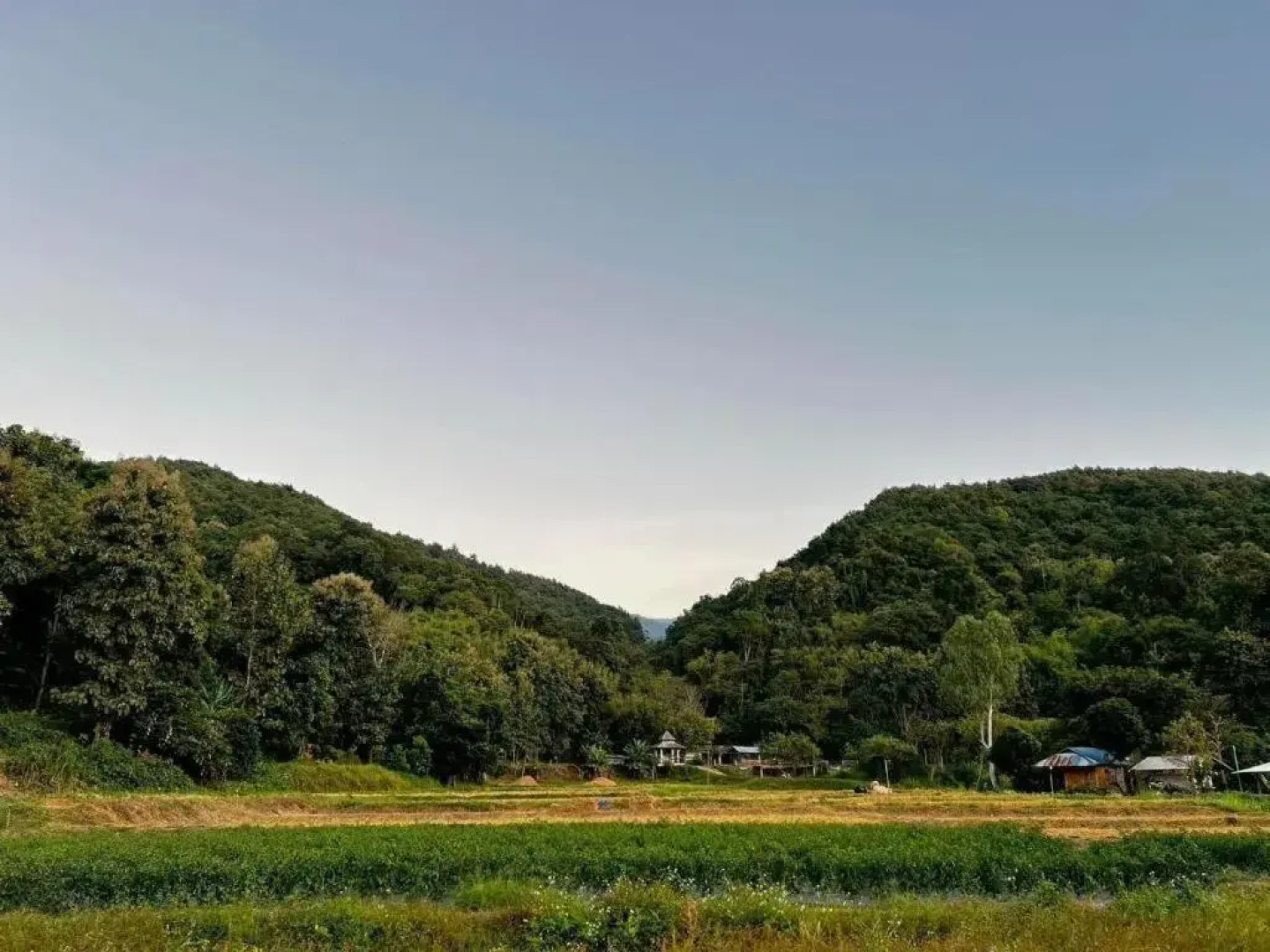 Peisanae Faikeng Resort