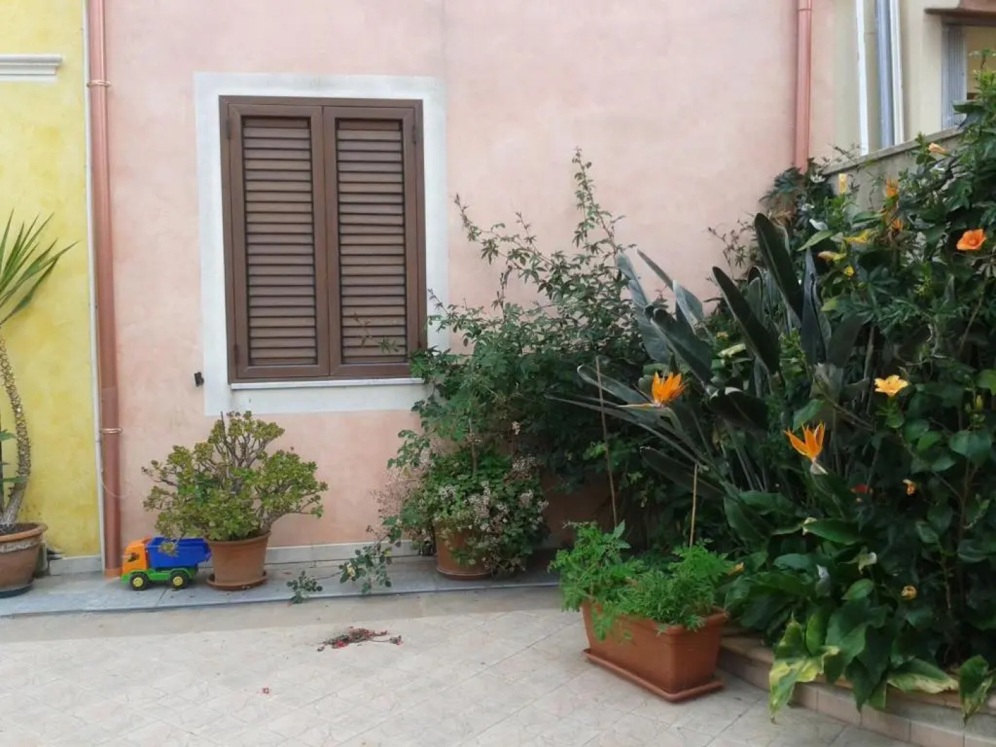 Bed and Breakfast Le Petunie