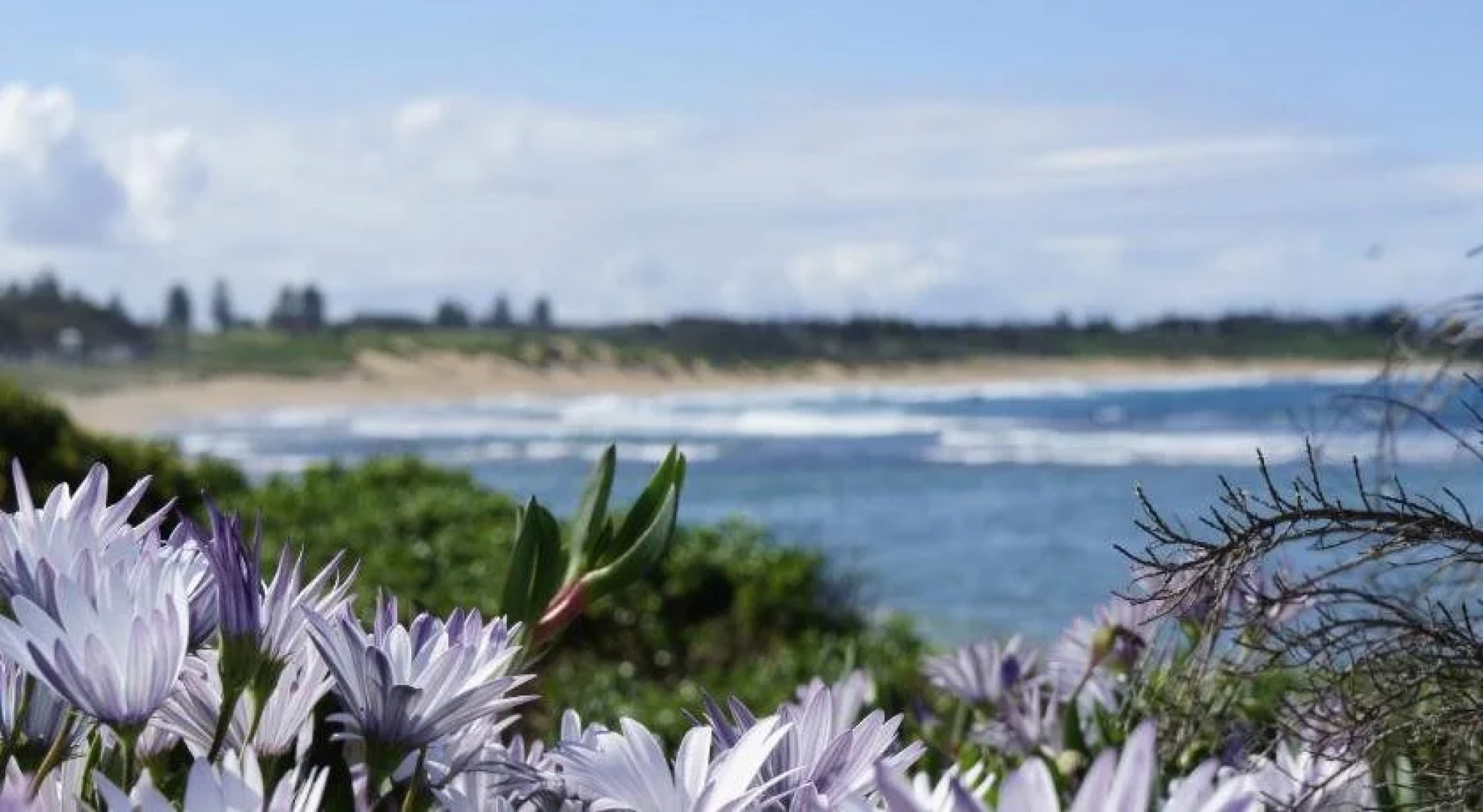 Blue Lagoon Beach Resort