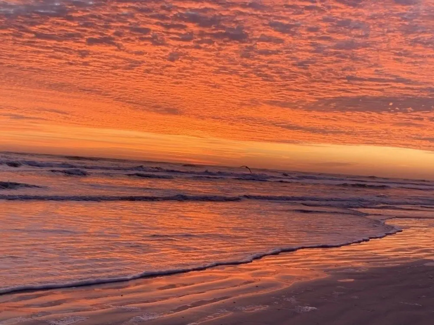 4495 S. Atlantic Ave #306S 2/2 Ocean front - 2 Br condo by RedAwning