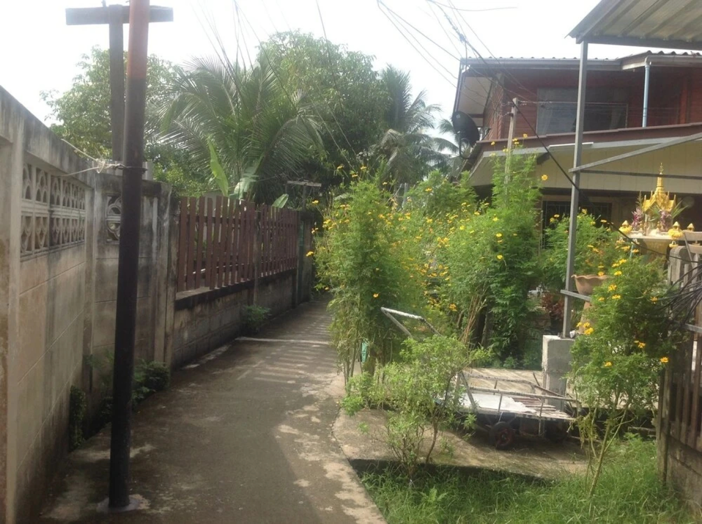 Neon's House