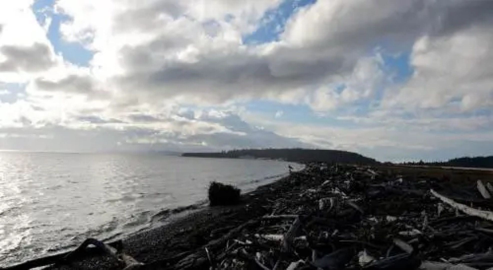 249 - Bon Air Escape