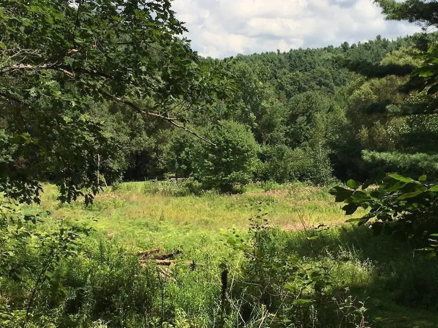 Tentrr - Honey Pot Farm Pond Paradise - Campsite