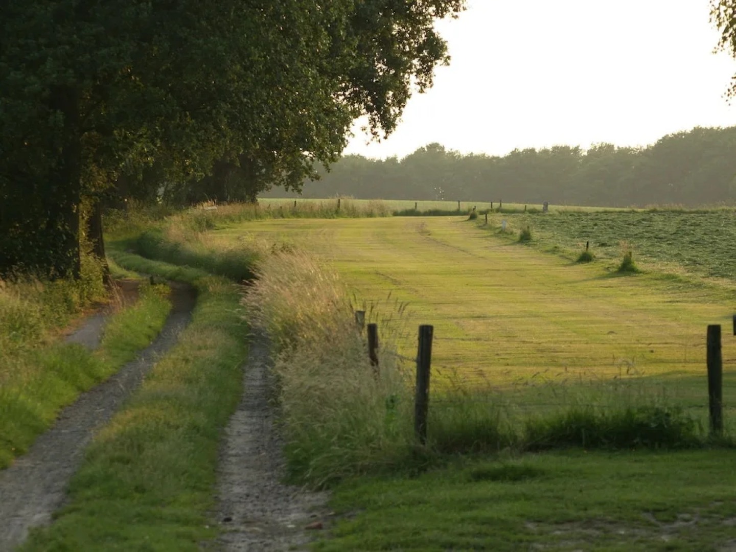 Cosy Chalet With gas Fireplace in Twente