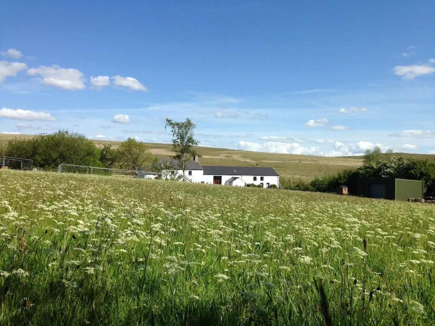 Beili Helyg Guest House