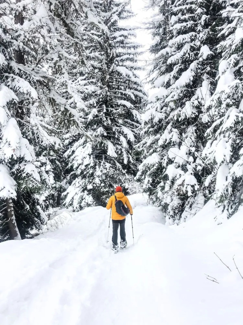 Flatty La Thuile - Little Fish