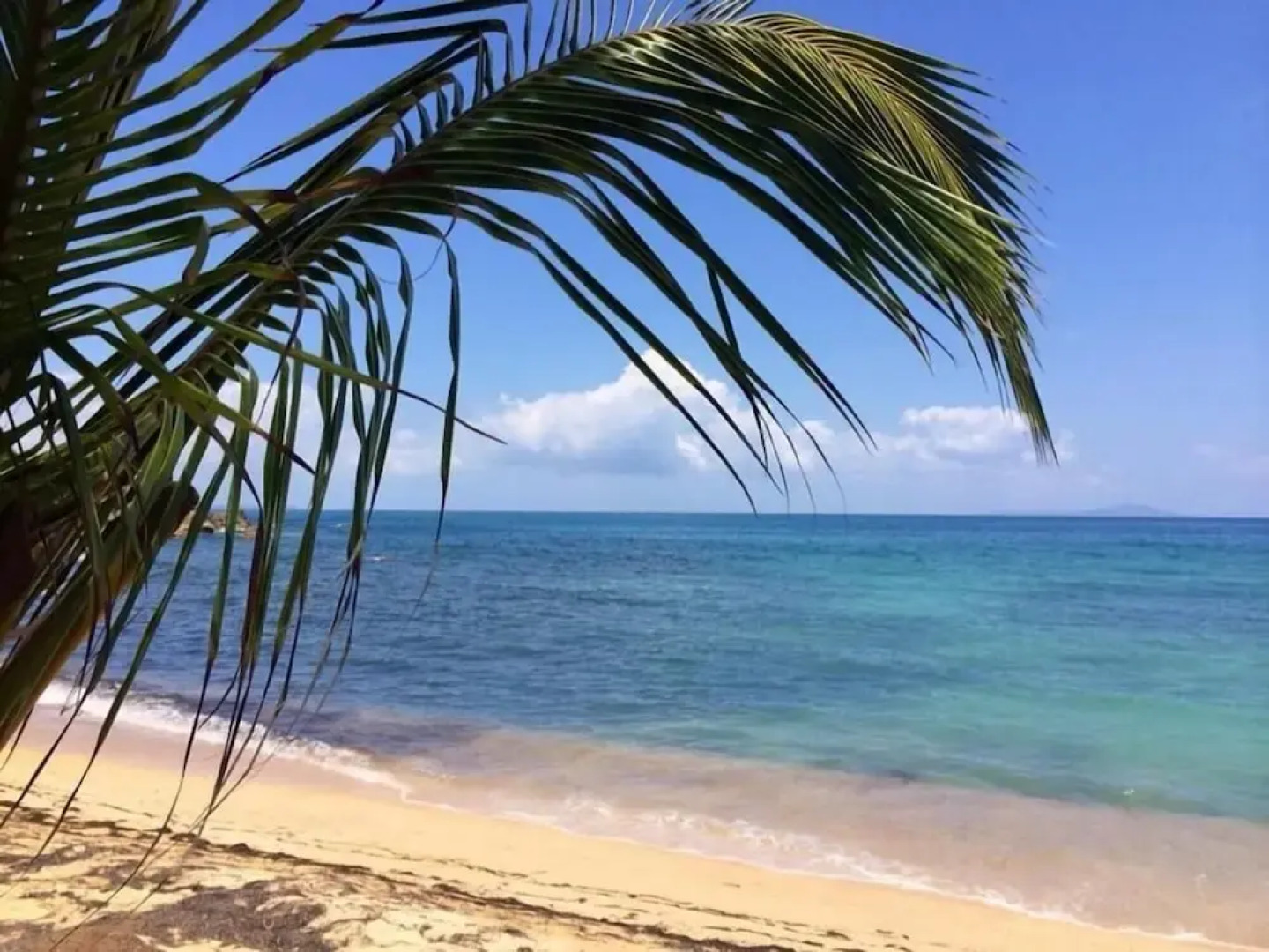 Luxury Home Spectacular Ocean Views Sensational Decor w Generator Sc53