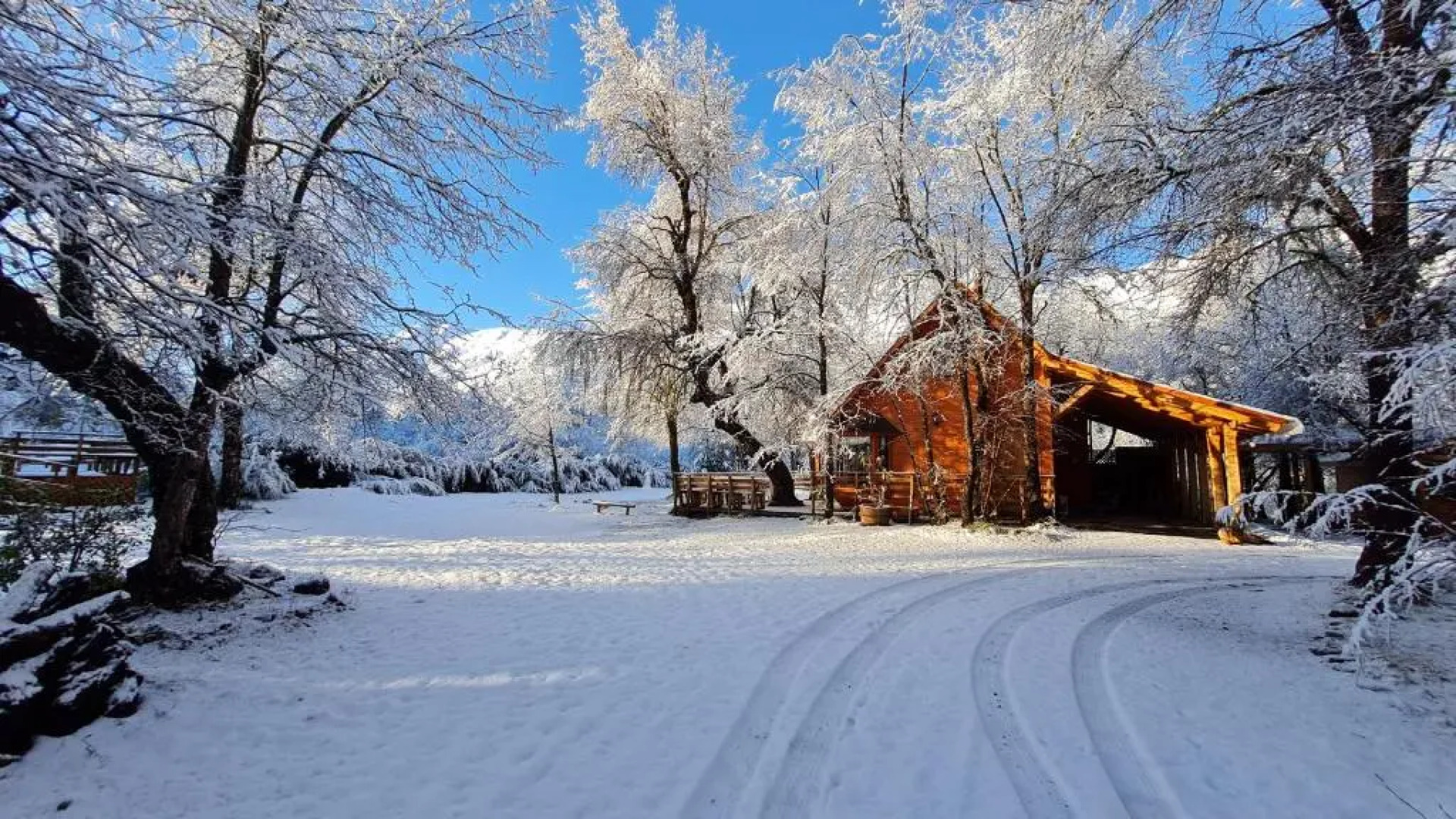 Cabañas Tronco Mayen
