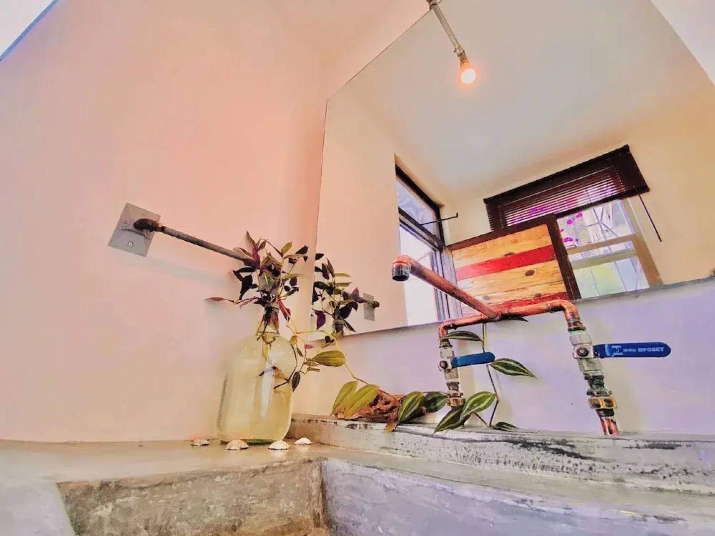 Perro Surfero Hotel Boutique - Todos Santos, BCS