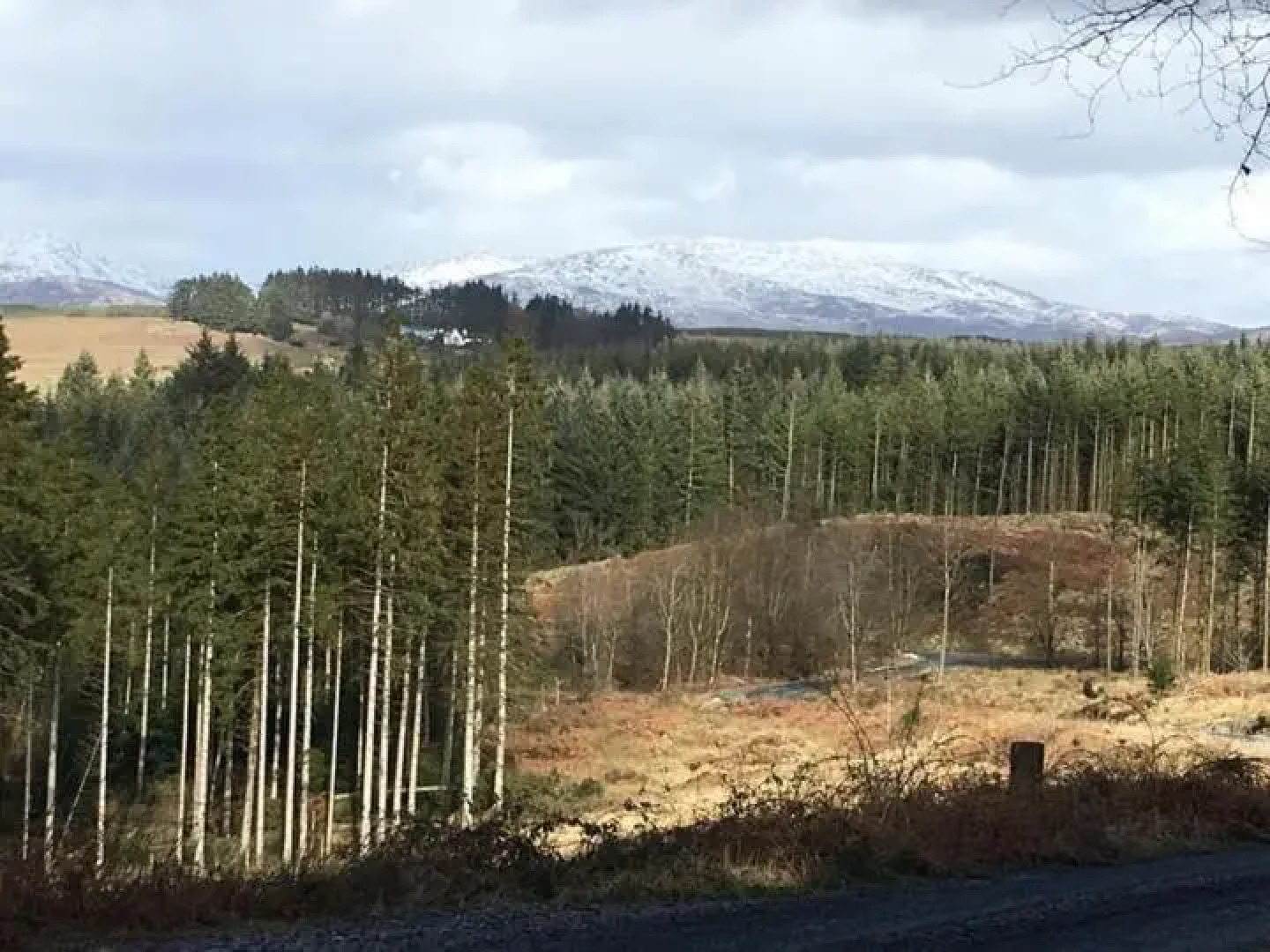 Craighlaw Arms Hotel