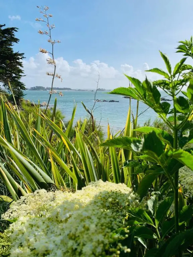 L'escale 551, Gite Santec a 250m de la Plage