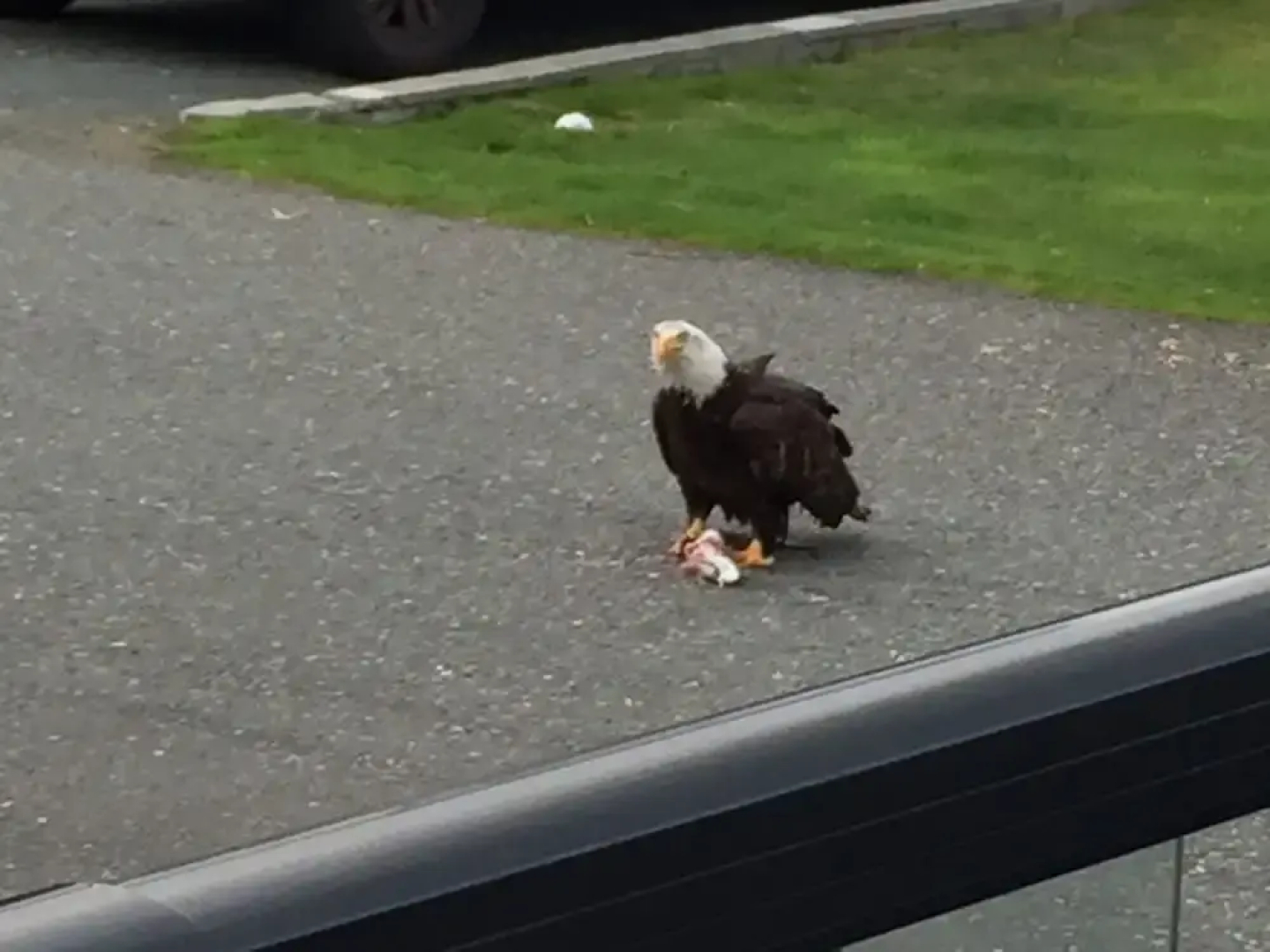 Driftwood by the Sea Inn and RV Resort