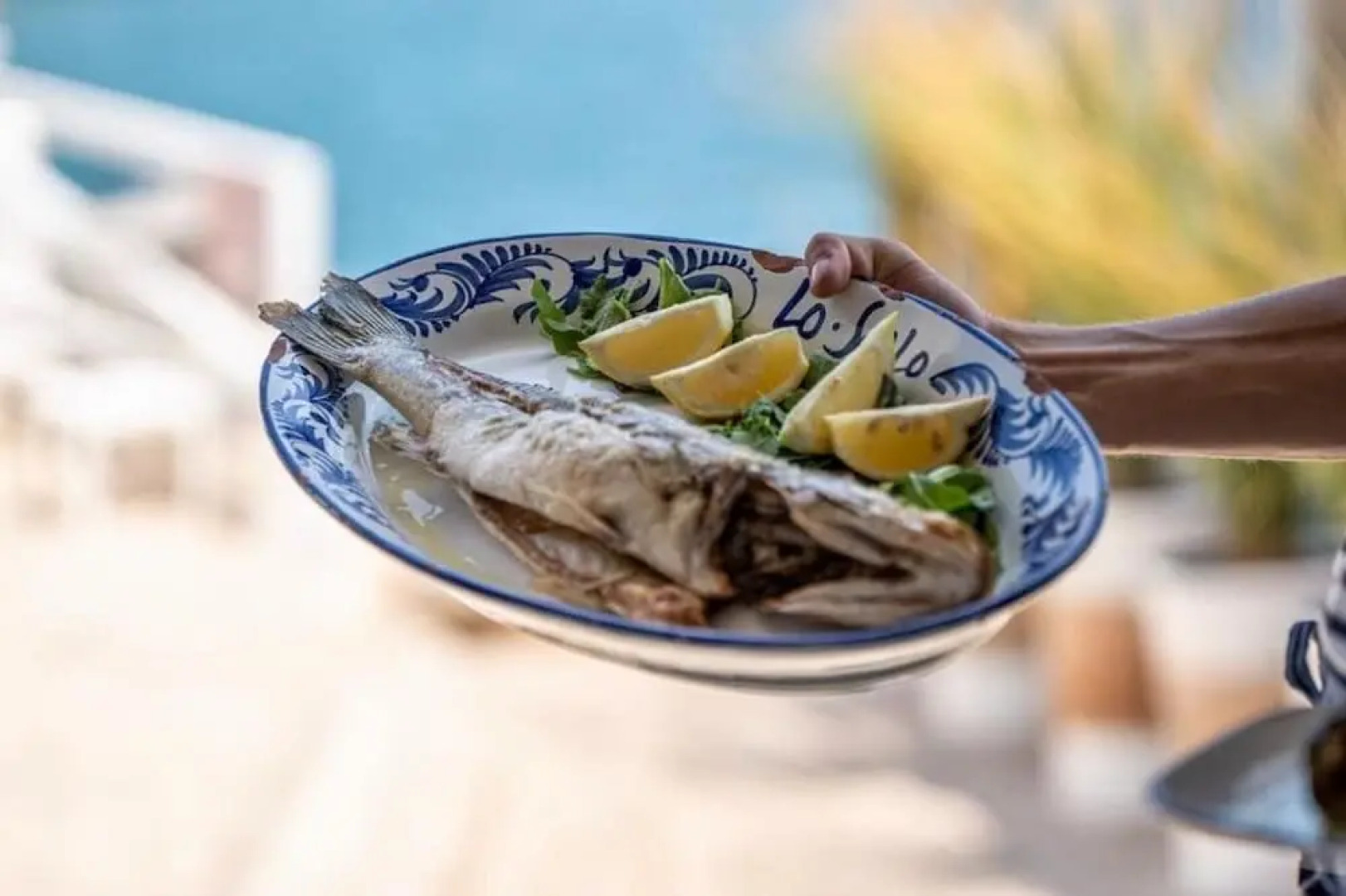 Lo Scalo bed and breakfast