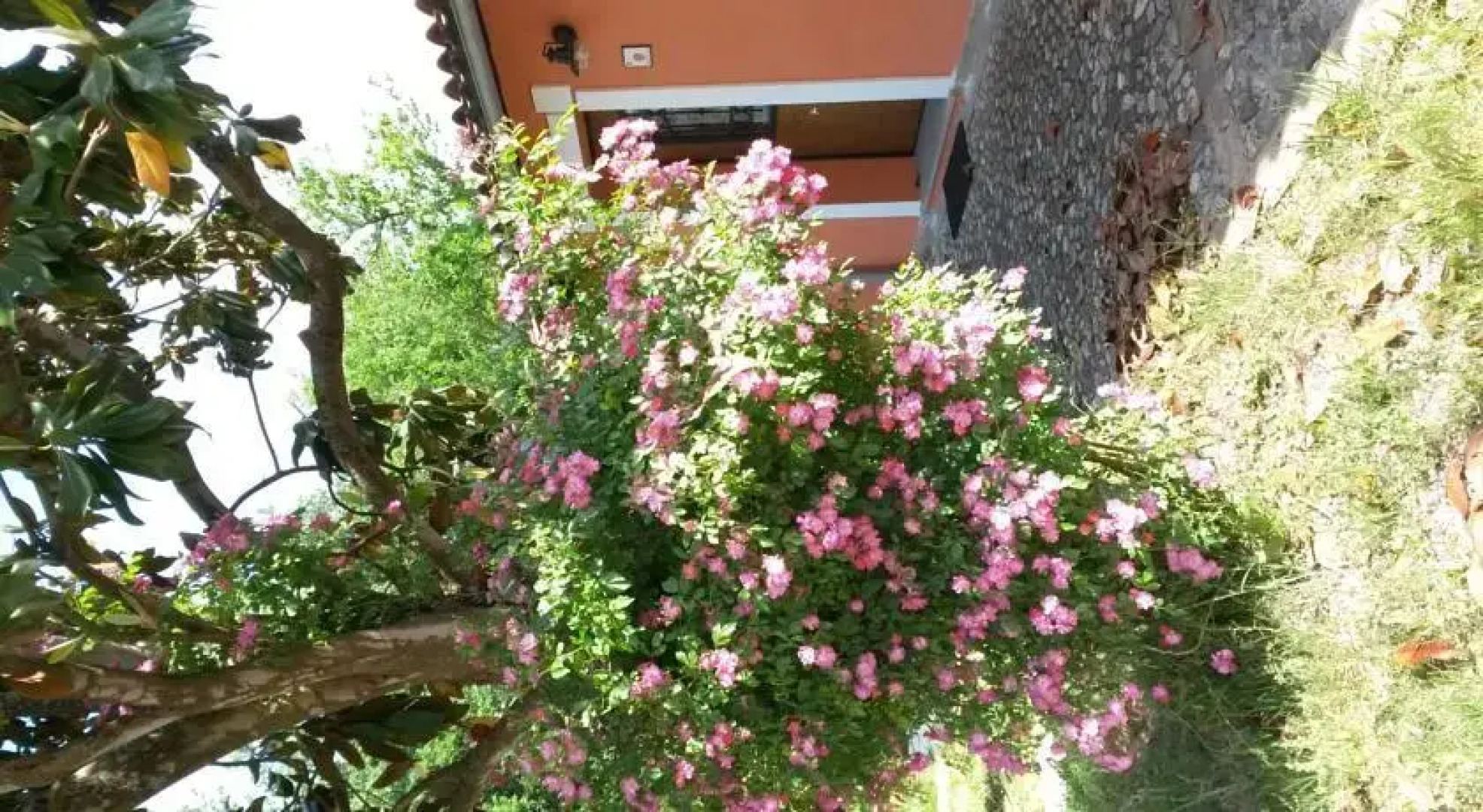 Agriturismo Stella e il Grillo