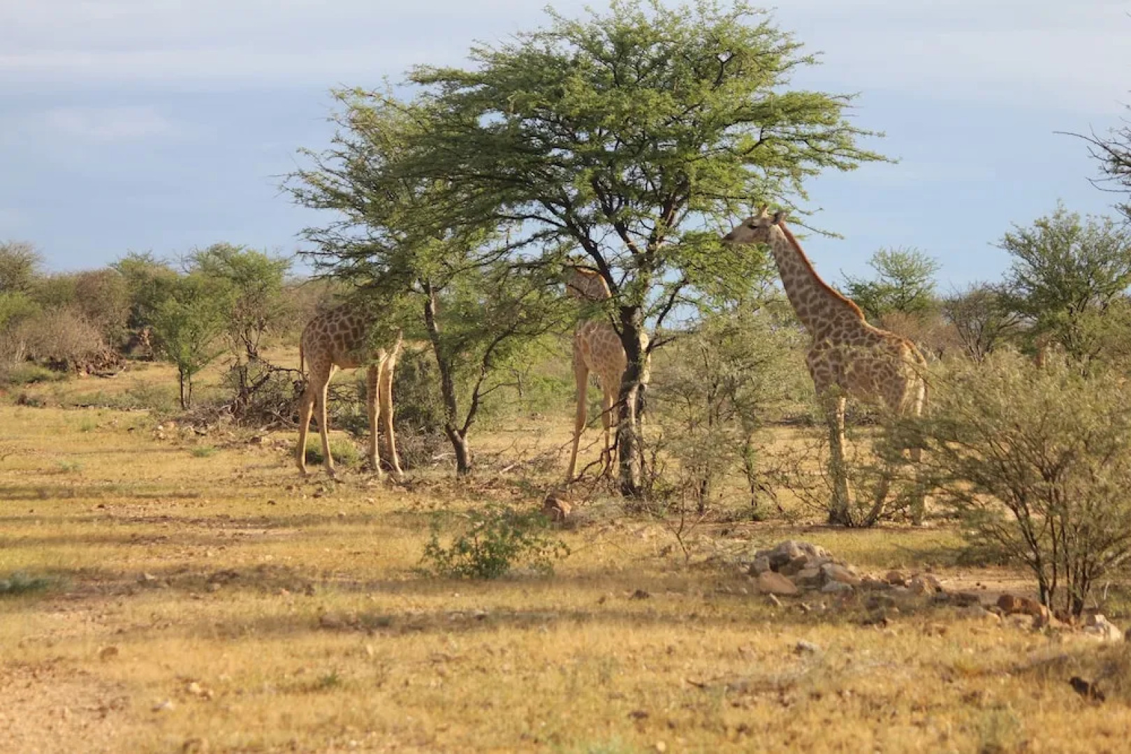 Klein Eden Guest Farm